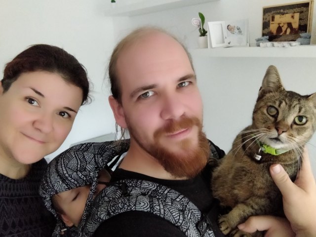 A wiking család