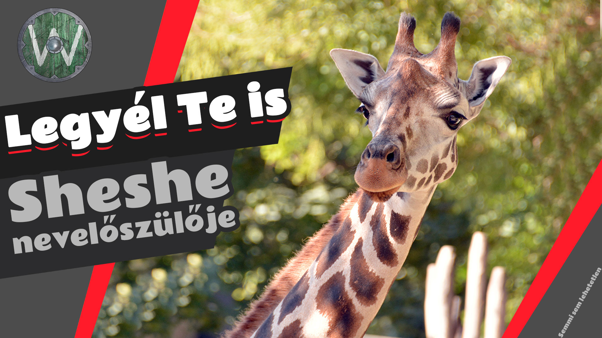 Sheshe